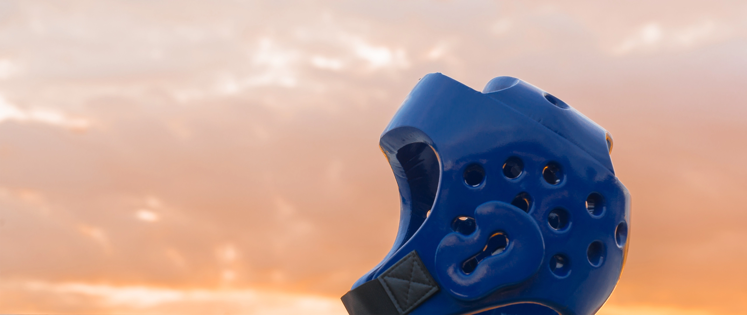 Blue Taekwondo Helmet