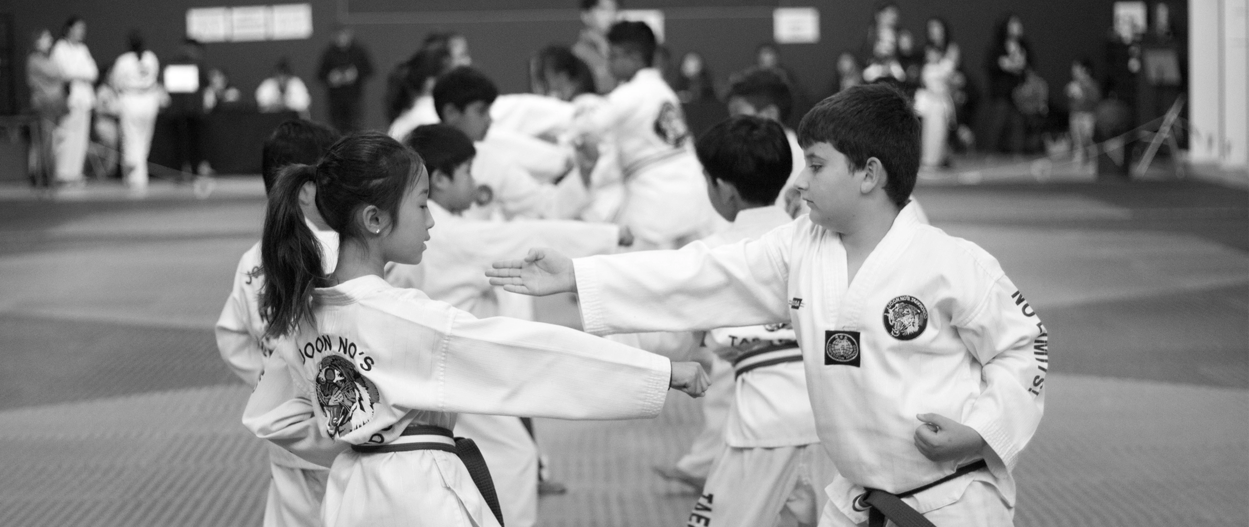 Learn Authentic Taekwondo